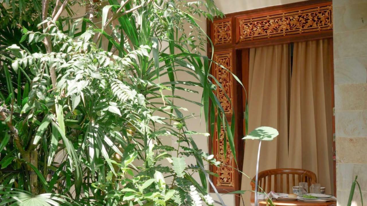 Arya Ubud (Bali)